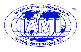 logo_iami